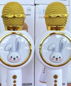 ម៉ៃក្រូហ្វូន Microphone + Bluetooth