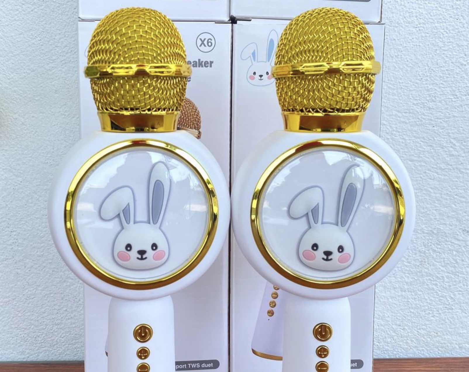 ម៉ៃក្រូហ្វូន Microphone + Bluetooth